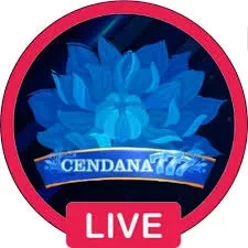 Aplikasi cendana777 Ringan untuk Android